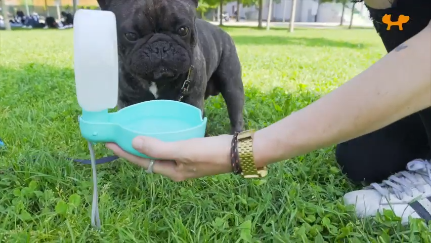 Drinkfles voor Onderweg - Afbeelding 4