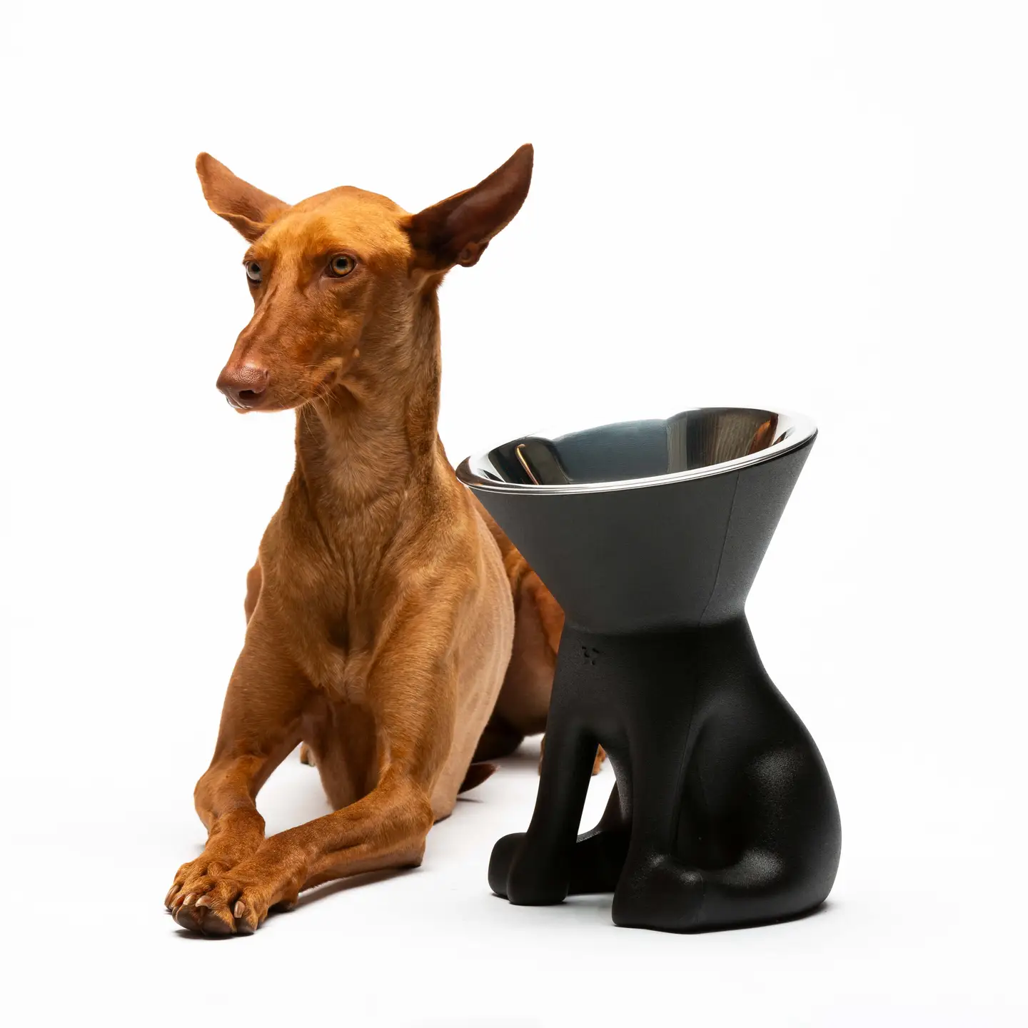 Elizabeth: De koningin van de Kommen! - Afbeelding 2