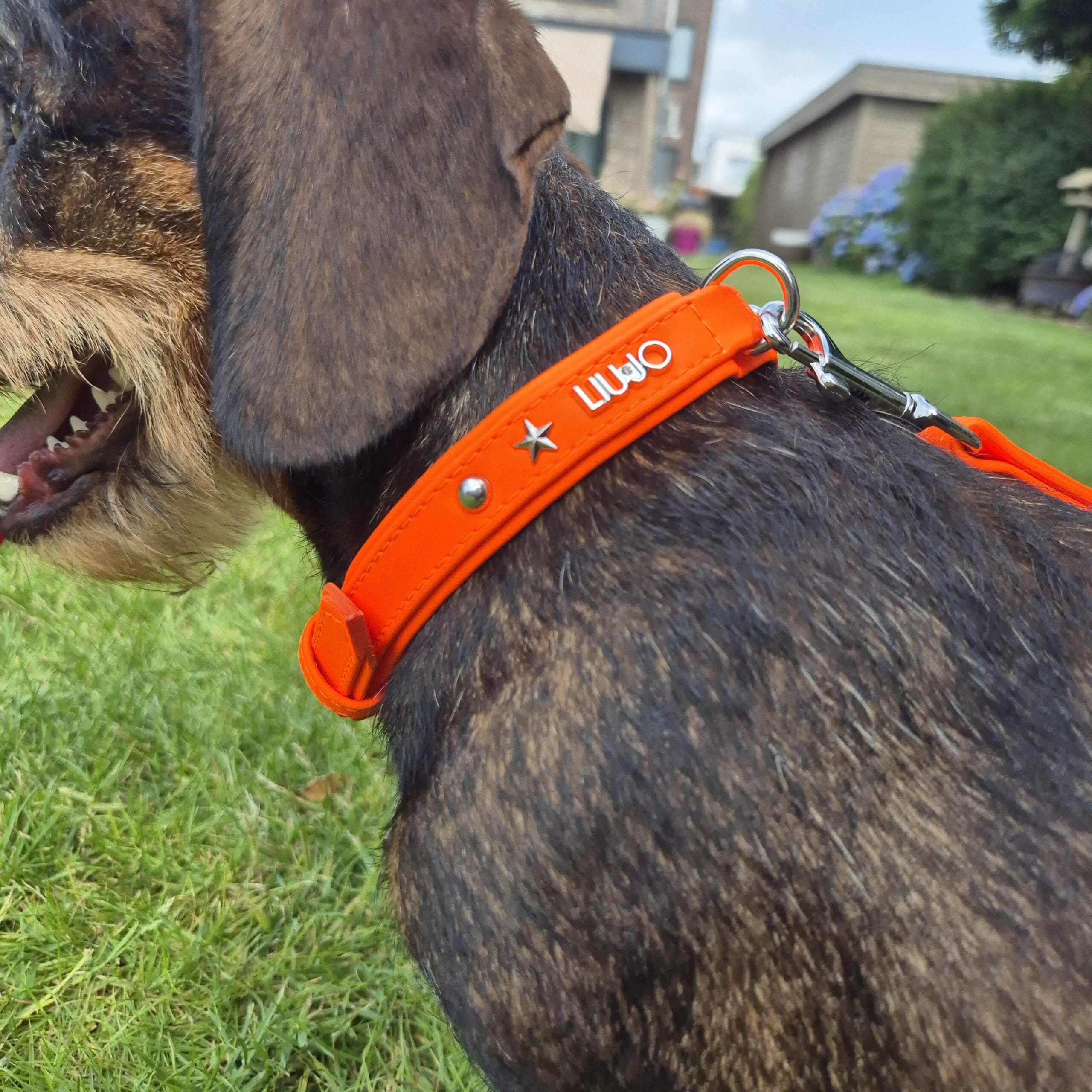 Oranje halsband Liu Jo