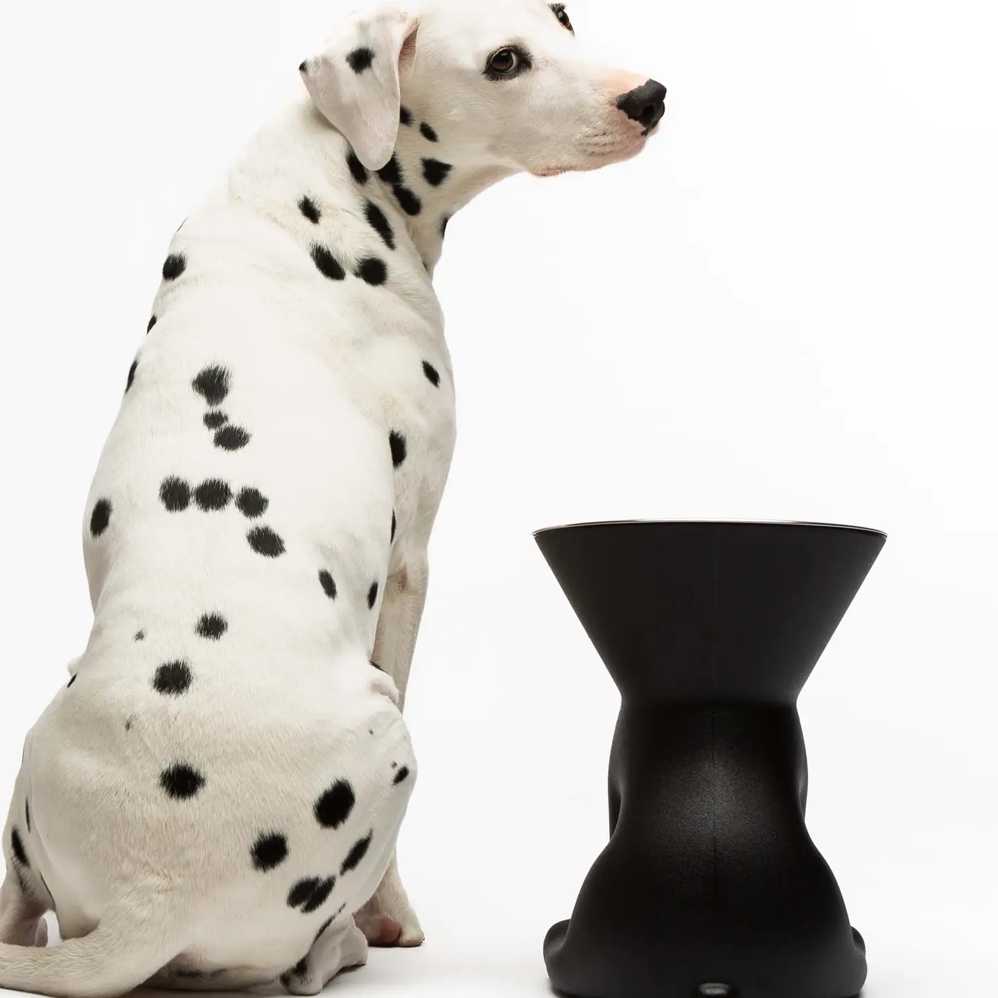 Elizabeth: De koningin van de Kommen!