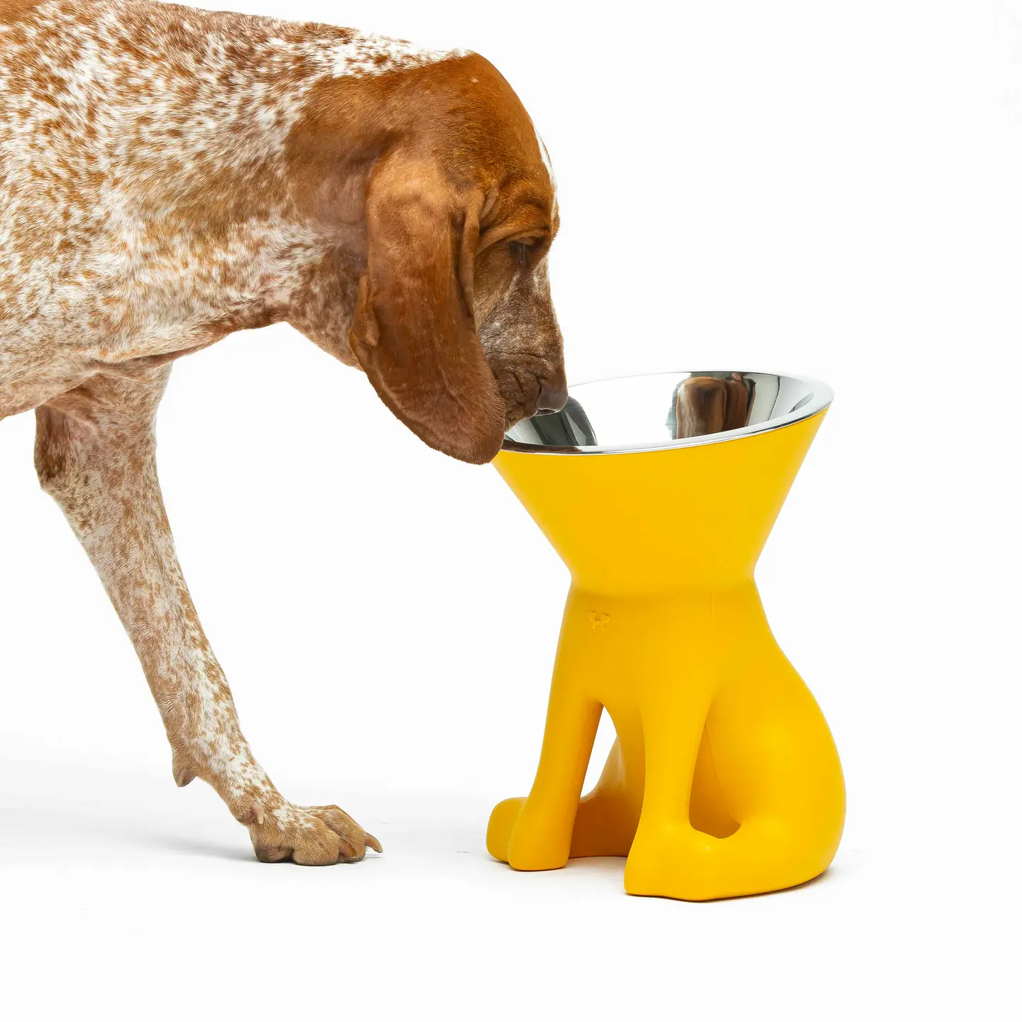 Elizabeth: De koningin van de Kommen! - Afbeelding 2