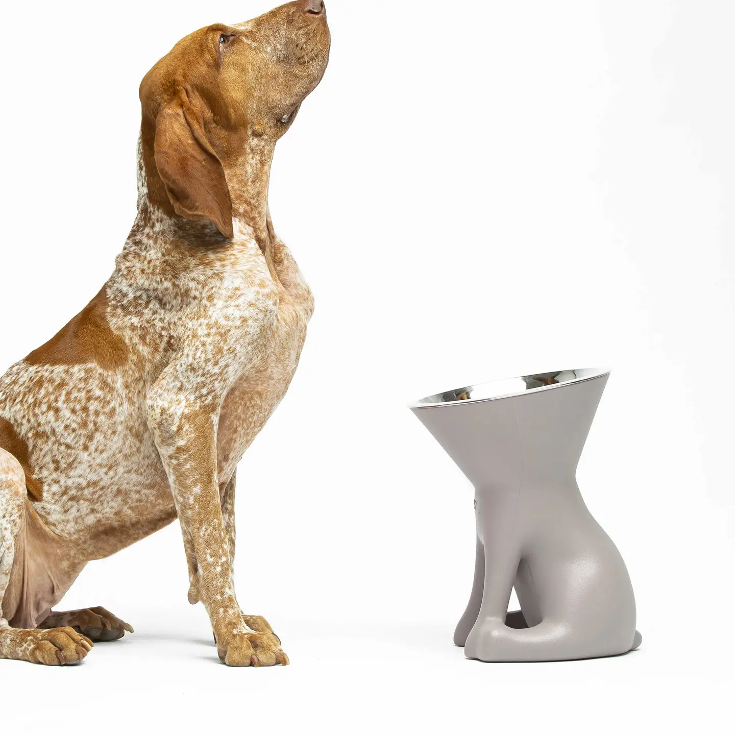 Elizabeth: De koningin van de Kommen!