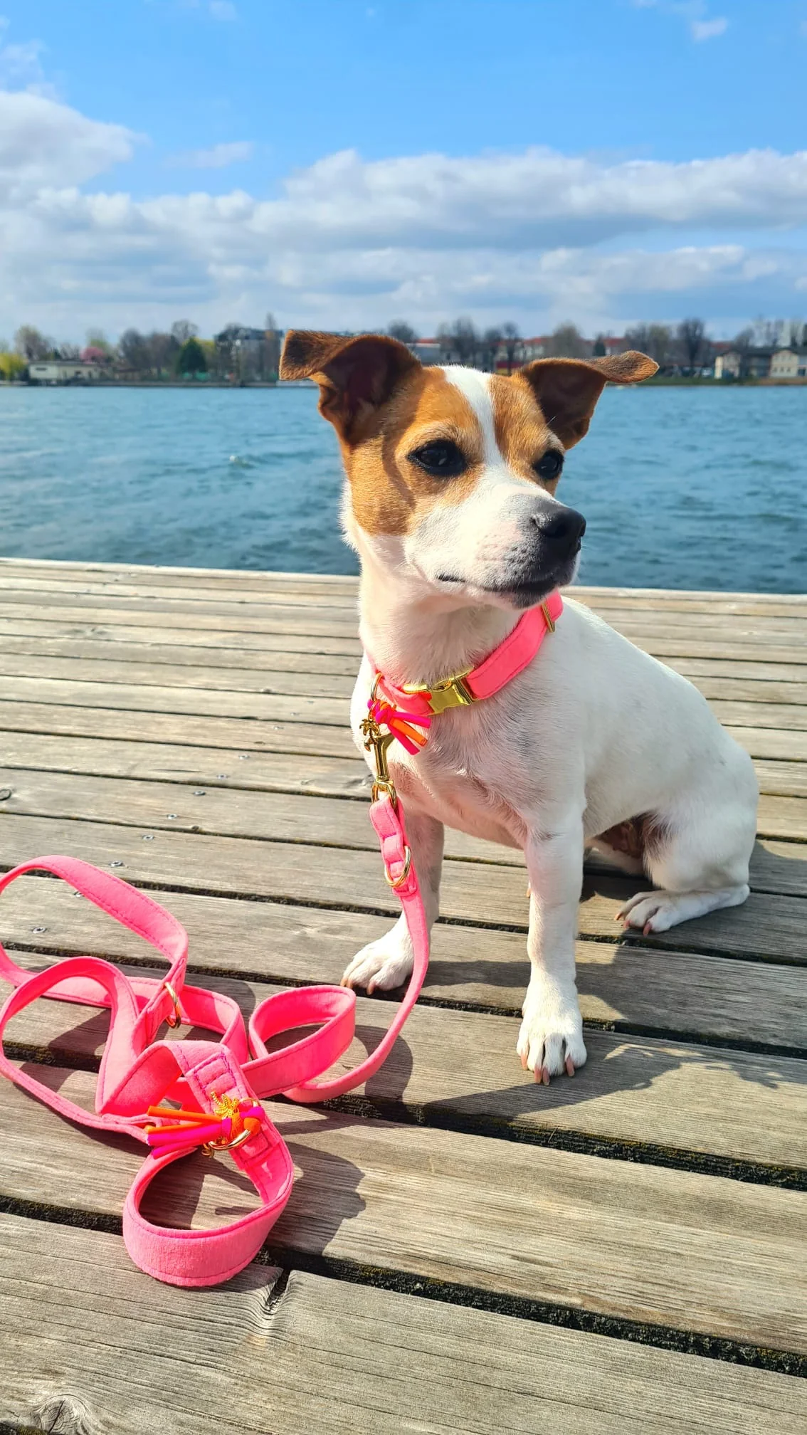 Leiband Neon Roze - Handsfree - Afbeelding 2