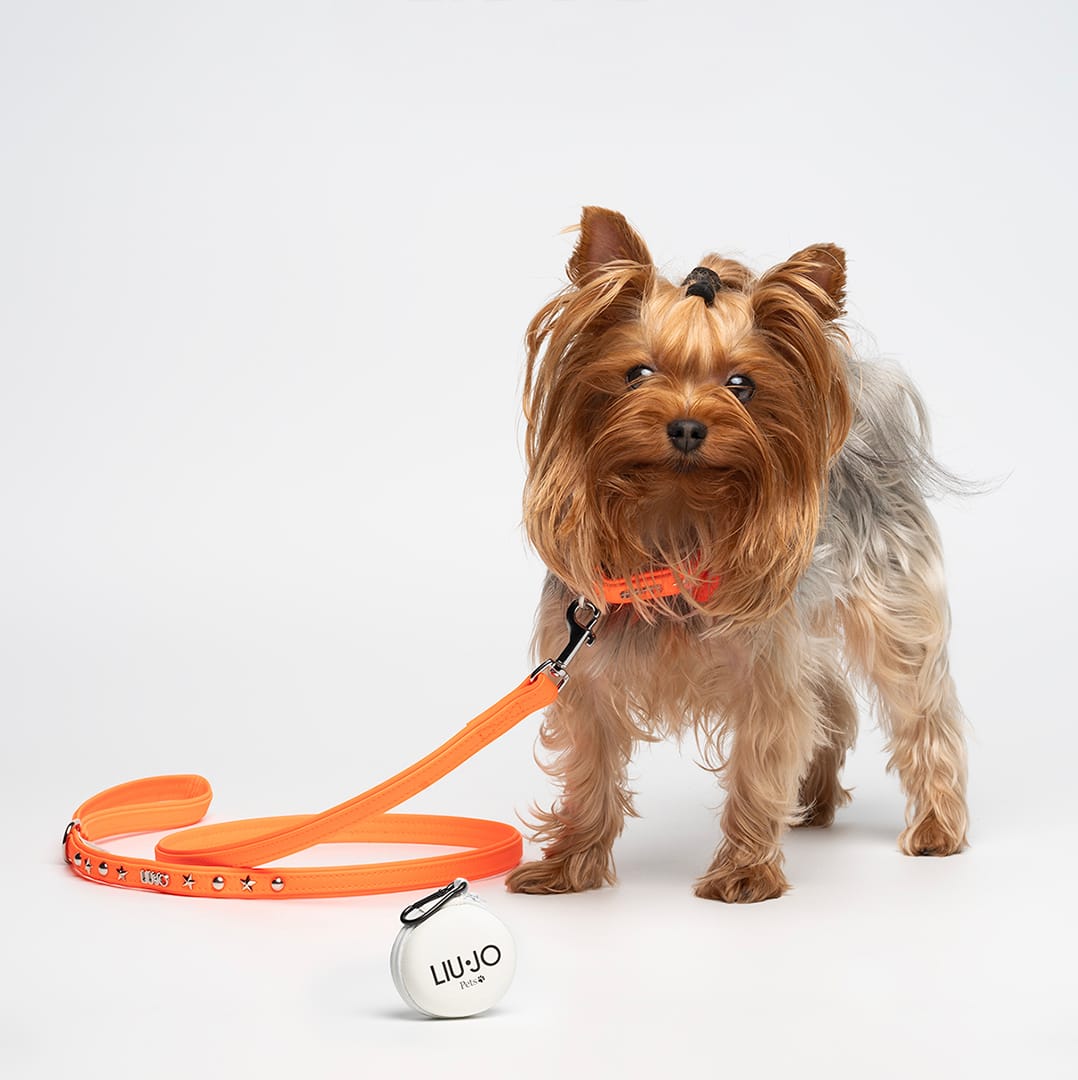 Liu-Jo Fluo Oranje Halsband - Afbeelding 5