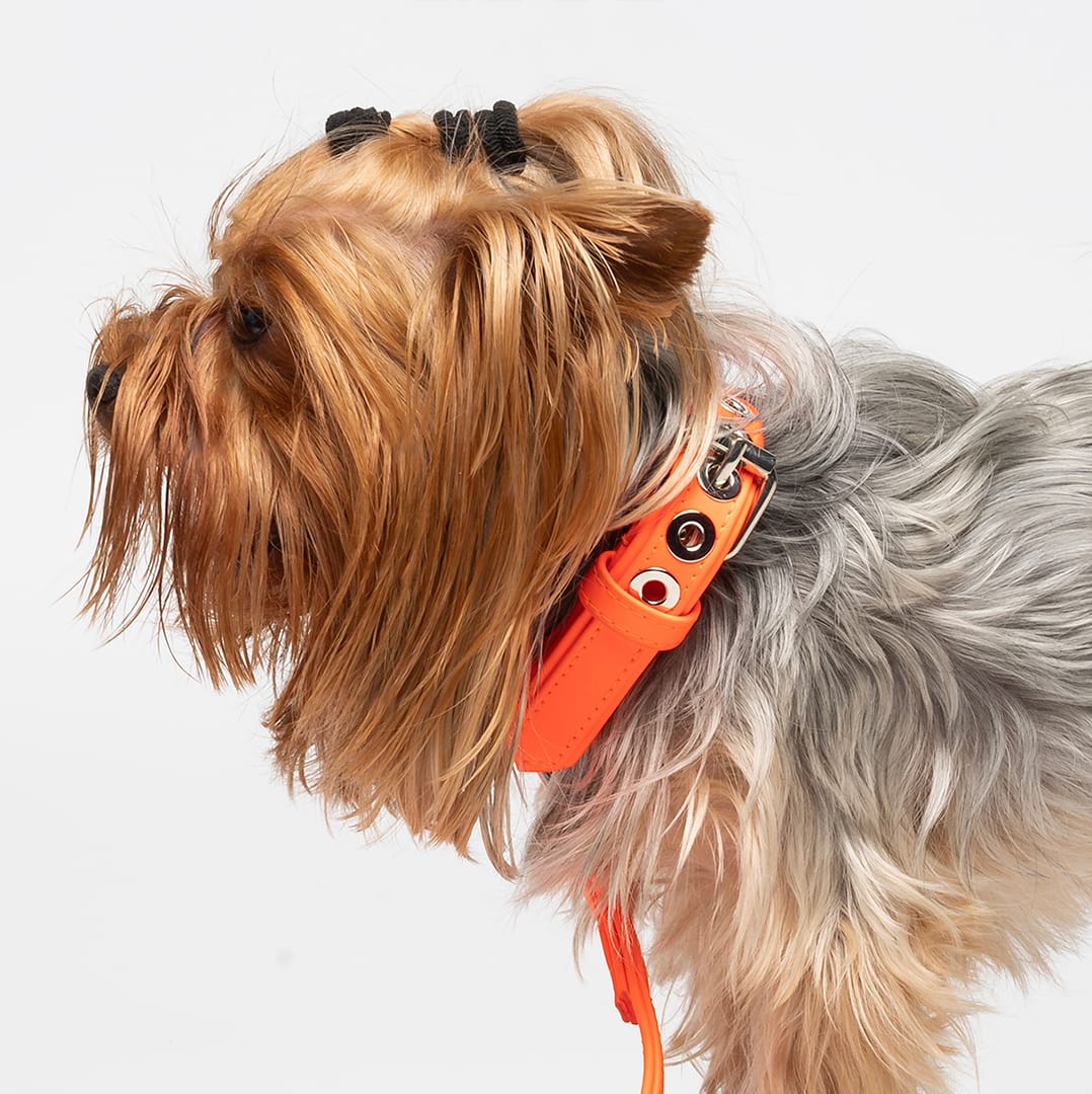 Liu-Jo Fluo Oranje Halsband - Afbeelding 4