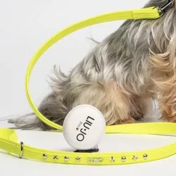 Liu-Jo Fluo Gele Leiband