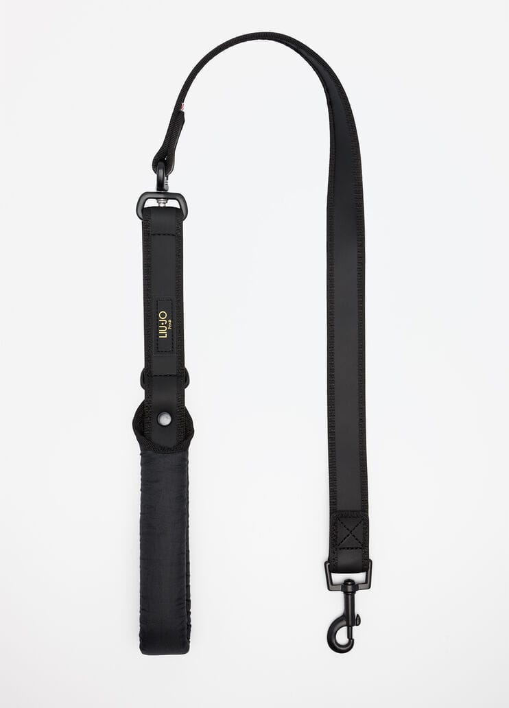 liu-Jo leiband voor Grote Honden - Afbeelding 2