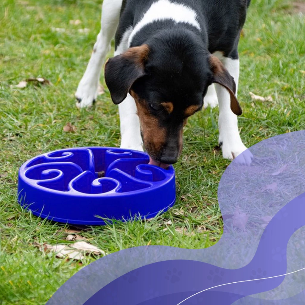 Anti Schrokbak S/M in Blauw, Groen en Roze - Afbeelding 3