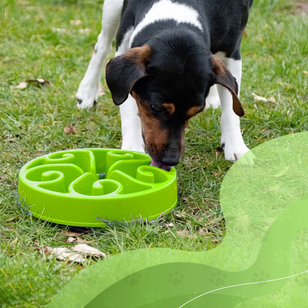 Anti Schrokbak L/XL in Groen en Grijs - Afbeelding 3