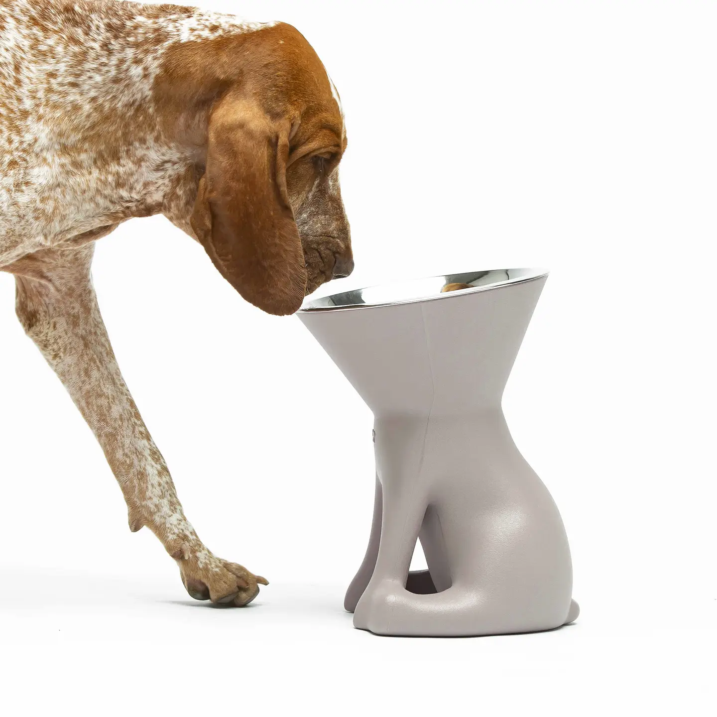 Elizabeth: De koningin van de Kommen! - Afbeelding 3