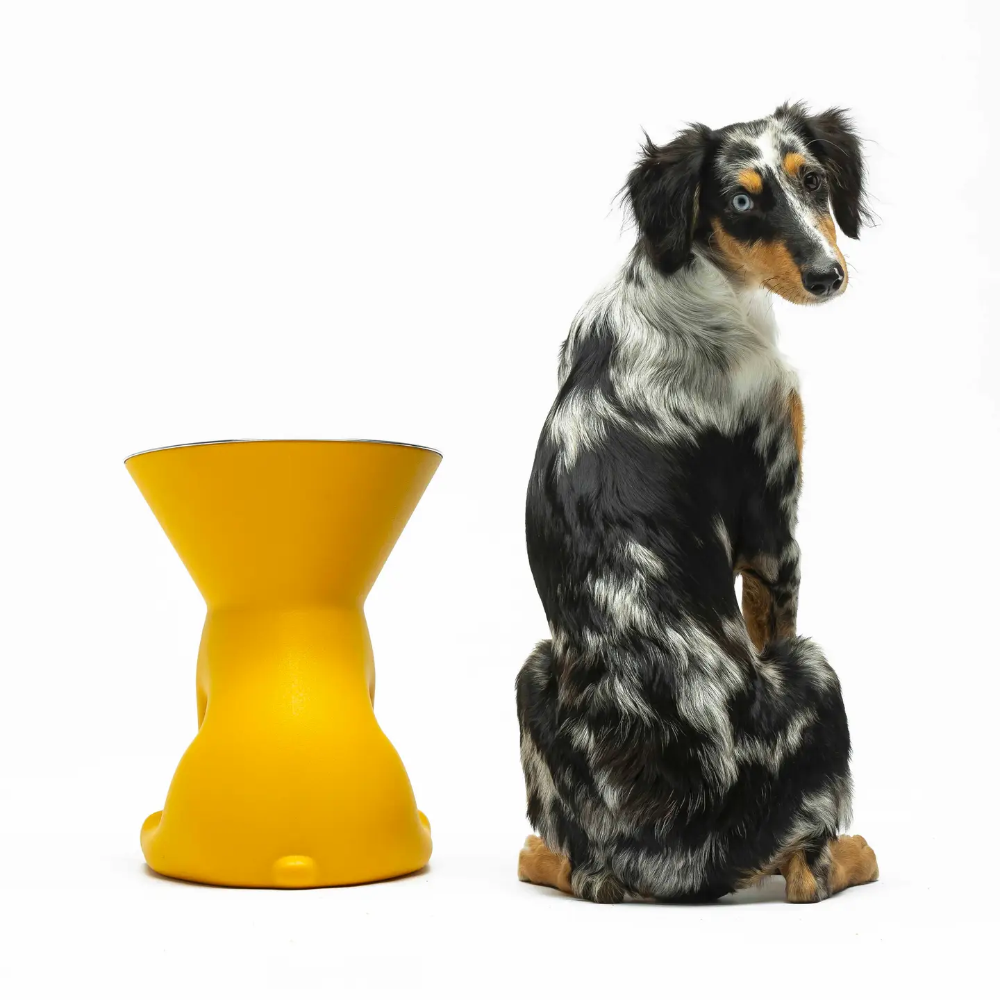 Elizabeth: De koningin van de Kommen!