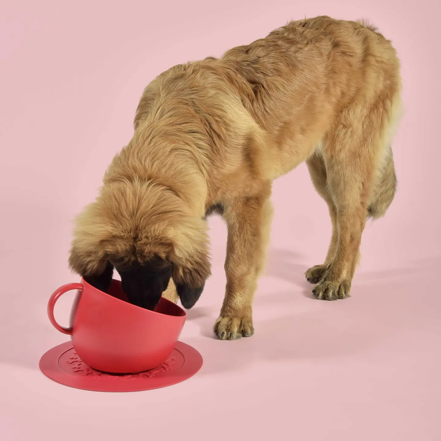 Eet/ Drinkbak met Antislipmat voor Grote Honden - Afbeelding 2