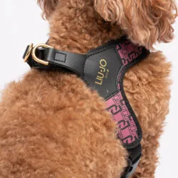 Liu Jo Harnas voor Middelgrote Honden Rose Animalier