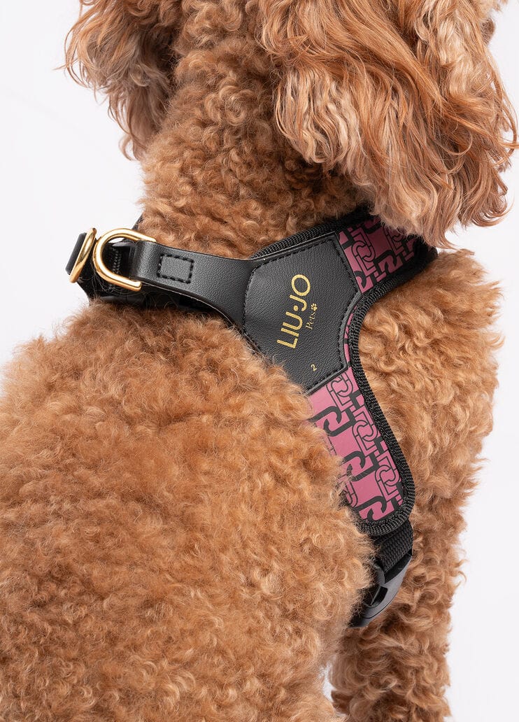 Liu Jo Harnas voor Middelgrote Honden Rose Animalier