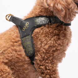 Liu Jo Harnas voor Middelgrote Honden Military Street