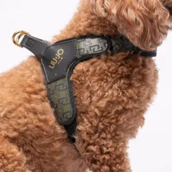 Liu Jo Harnas voor Middelgrote Honden Military Street