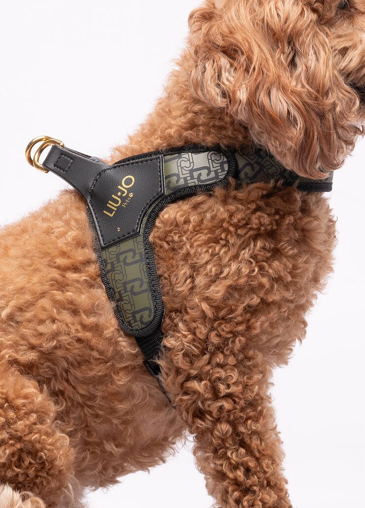 Liu Jo Harnas voor Middelgrote Honden Military Street