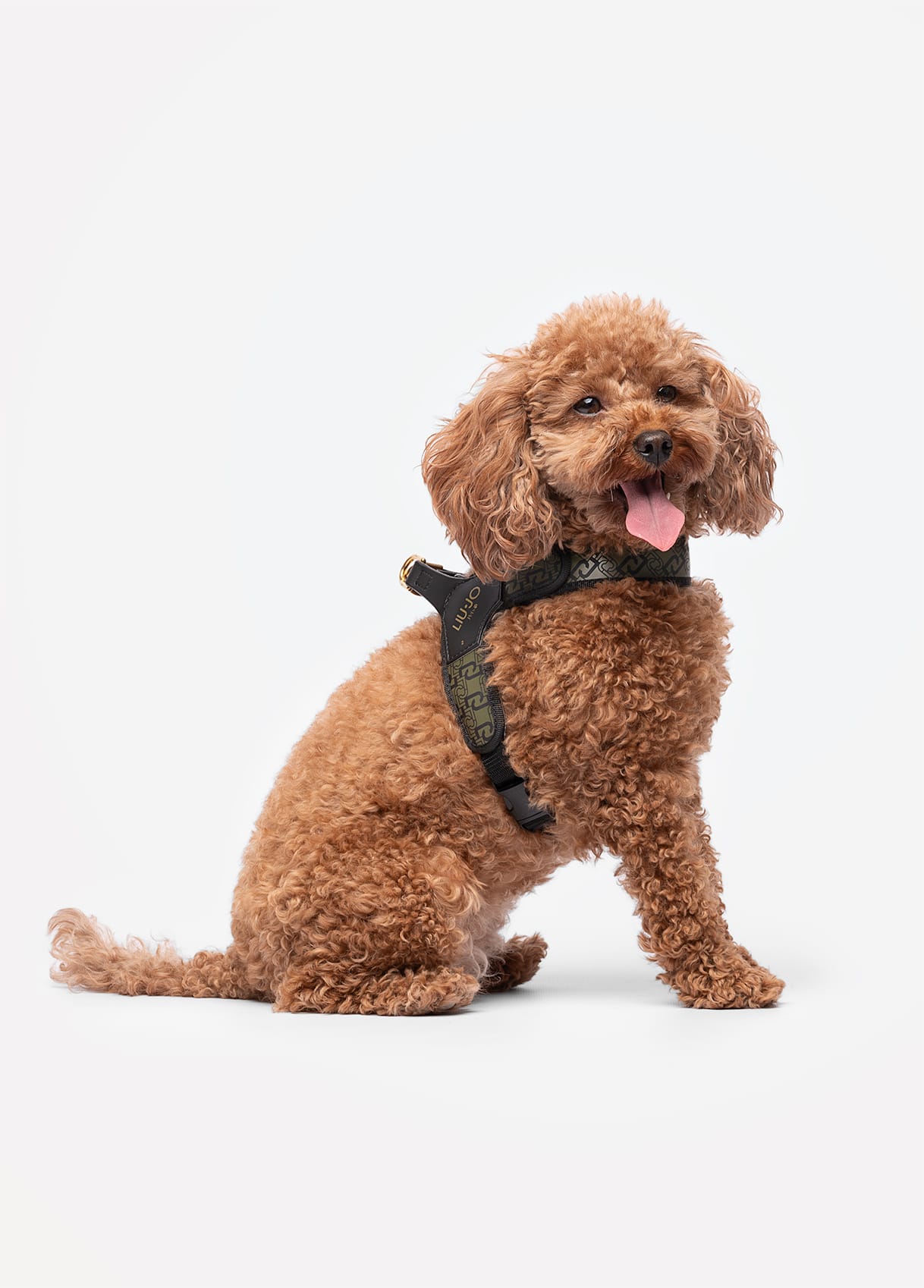 Liu Jo Harnas voor Middelgrote Honden Military Street - Afbeelding 2