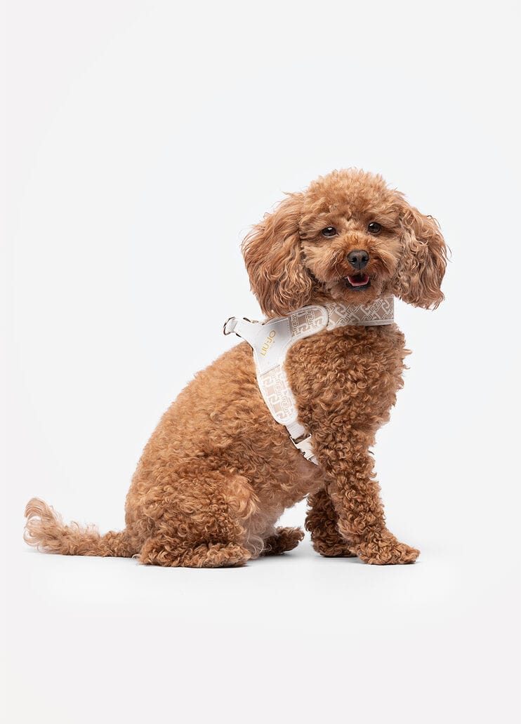 Liu Jo Harnas voor Middelgrote Honden Caramel Lux - Afbeelding 2