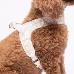 Liu Jo Harnas voor Middelgrote Honden Caramel Lux