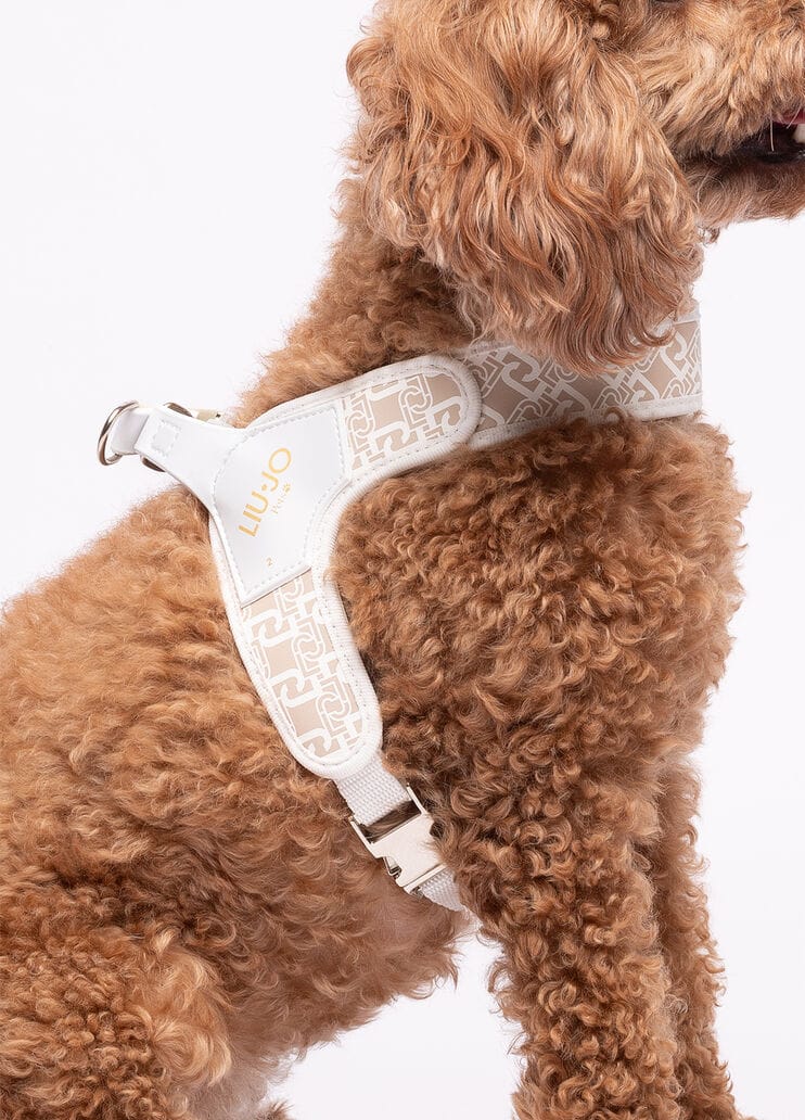 Liu Jo Harnas voor Middelgrote Honden Caramel Lux