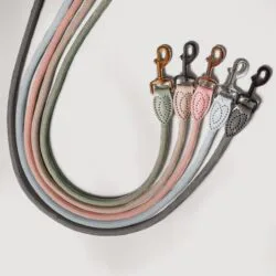 HondenLeiband Standaard