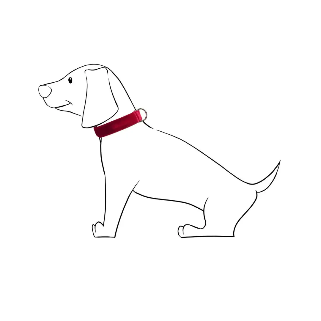 Halsband in Rood Fluweel - Izala Dog - Afbeelding 4