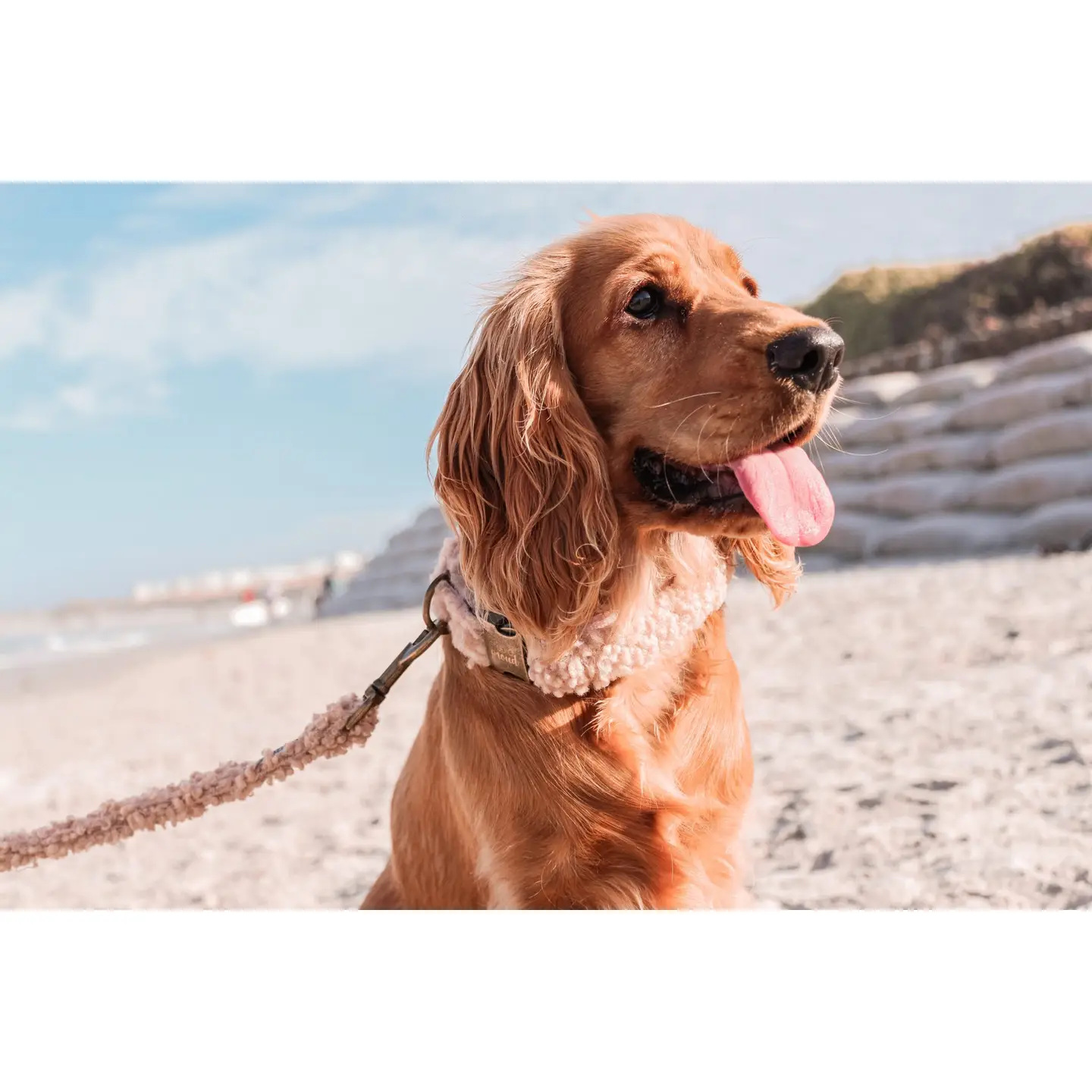 Halsband Teddybeer Beige - Studio Proud - Afbeelding 2