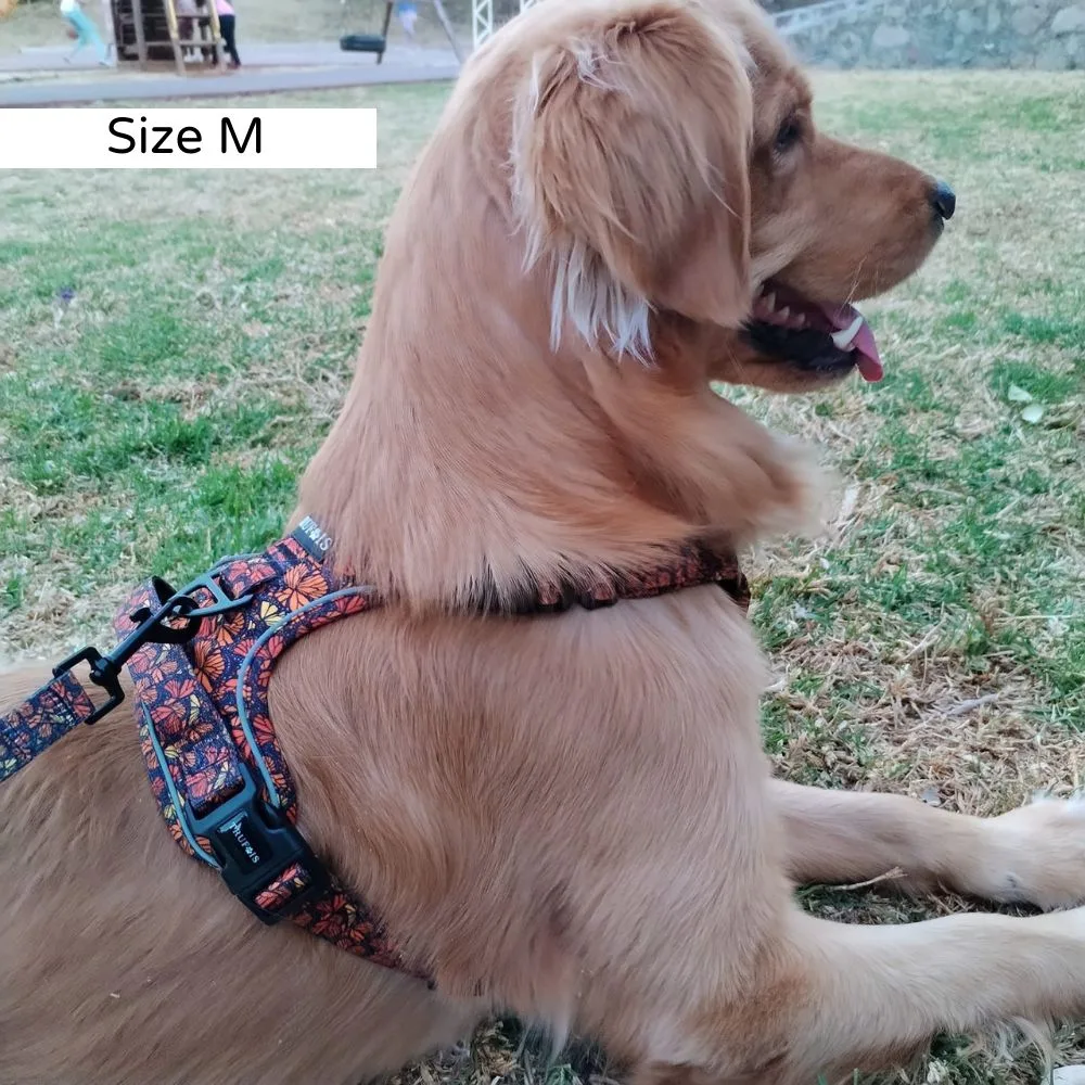 Fall and Fly Harnas - Afbeelding 2