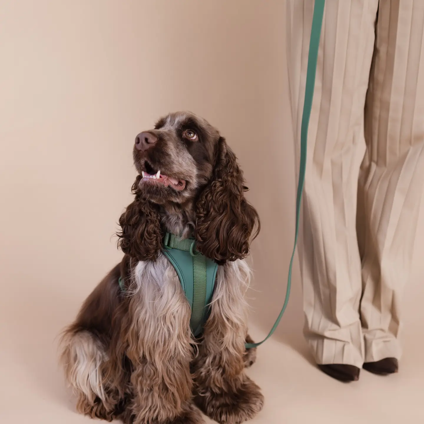 Harnas in neoprene Groen - Afbeelding 3