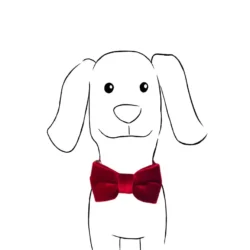 Strikje in Rood Fluweel - Izala Dog