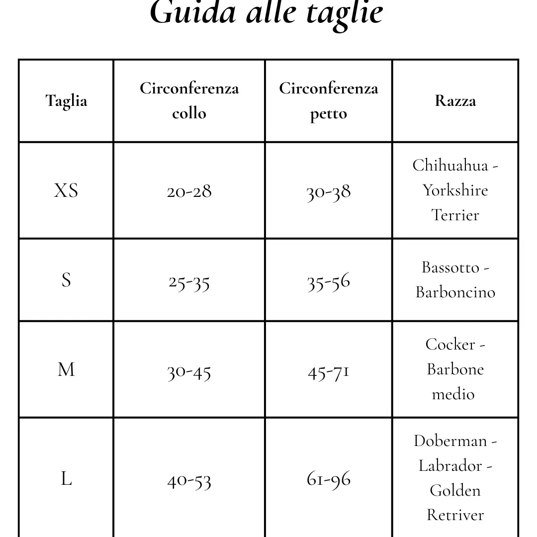 Harnas in neoprene Paars - Afbeelding 5