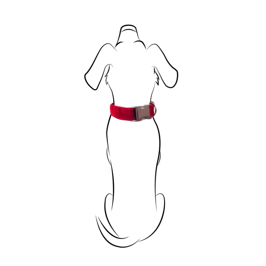 Halsband in Rood Fluweel - Izala Dog - Afbeelding 3