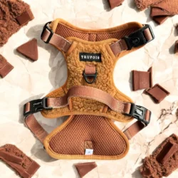 Teddy Harnas Chocolade