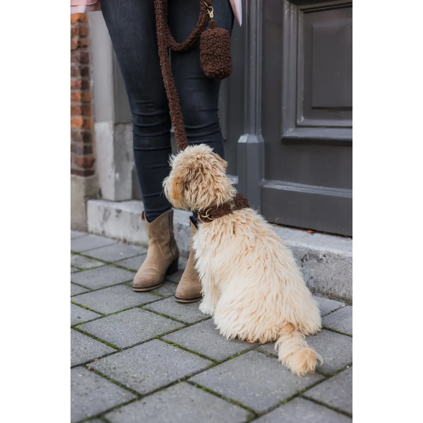 Halsband Teddybeer Bruin - Studio Proud - Afbeelding 2