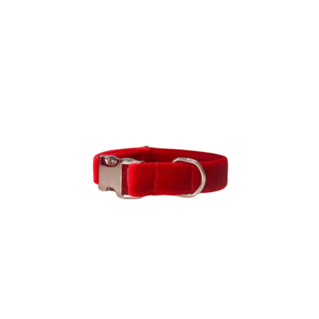 Halsband in Rood Fluweel - Izala Dog