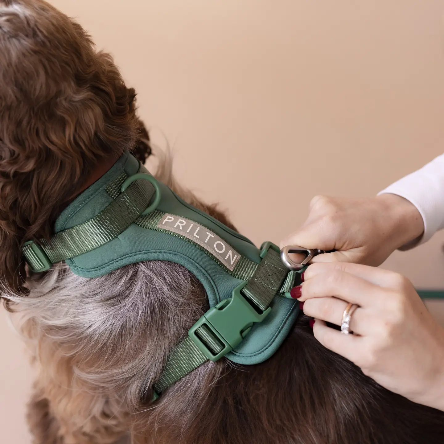 Harnas in neoprene Groen