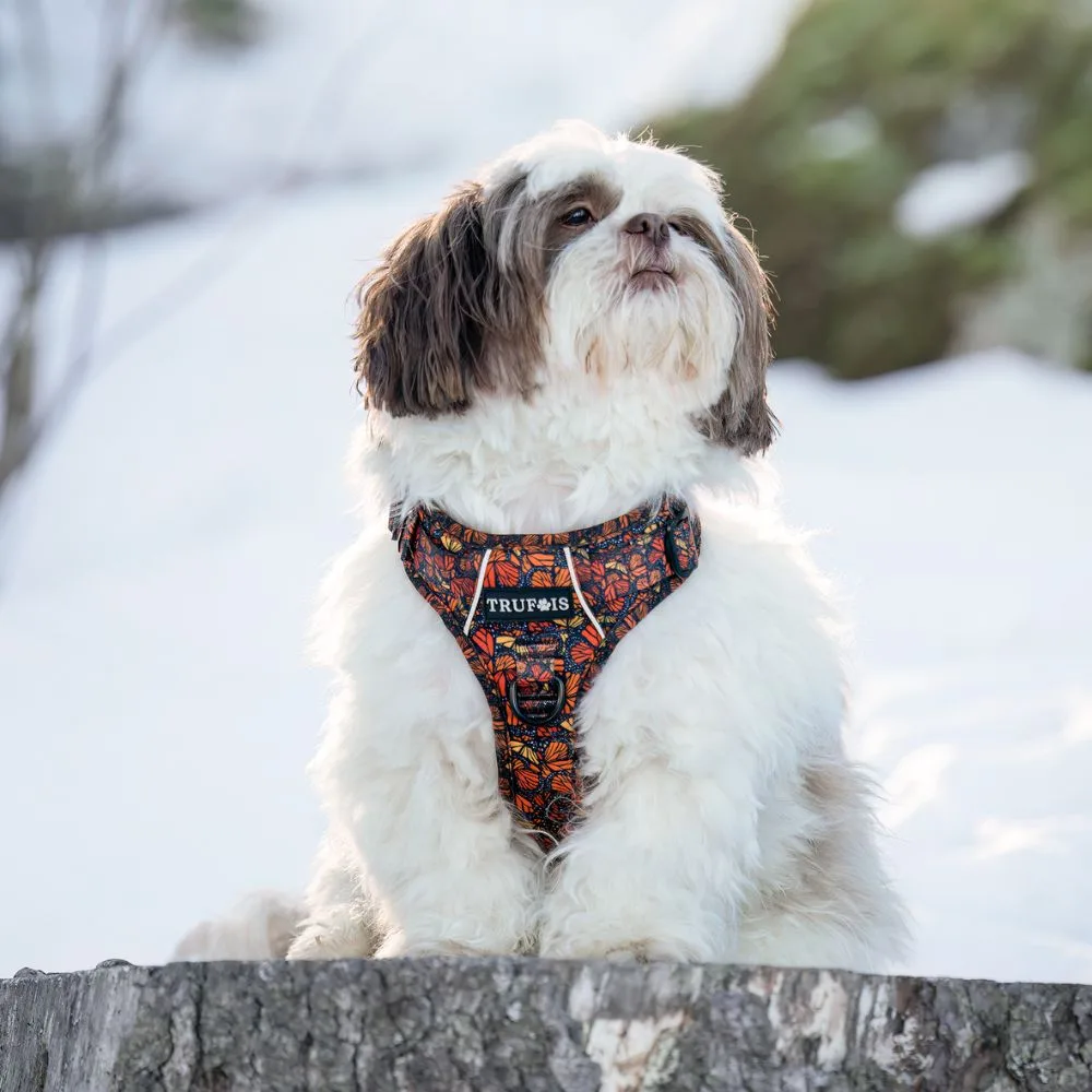 Fall and Fly Harnas - Afbeelding 3