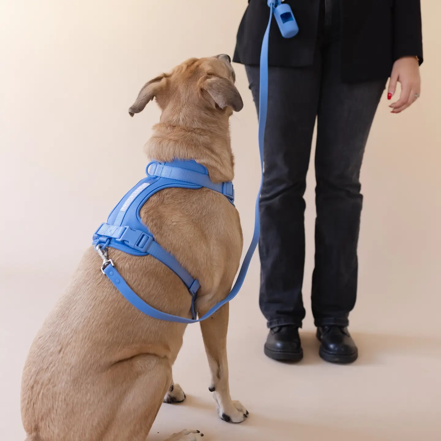 Harnas in neoprene Blauw - Afbeelding 3