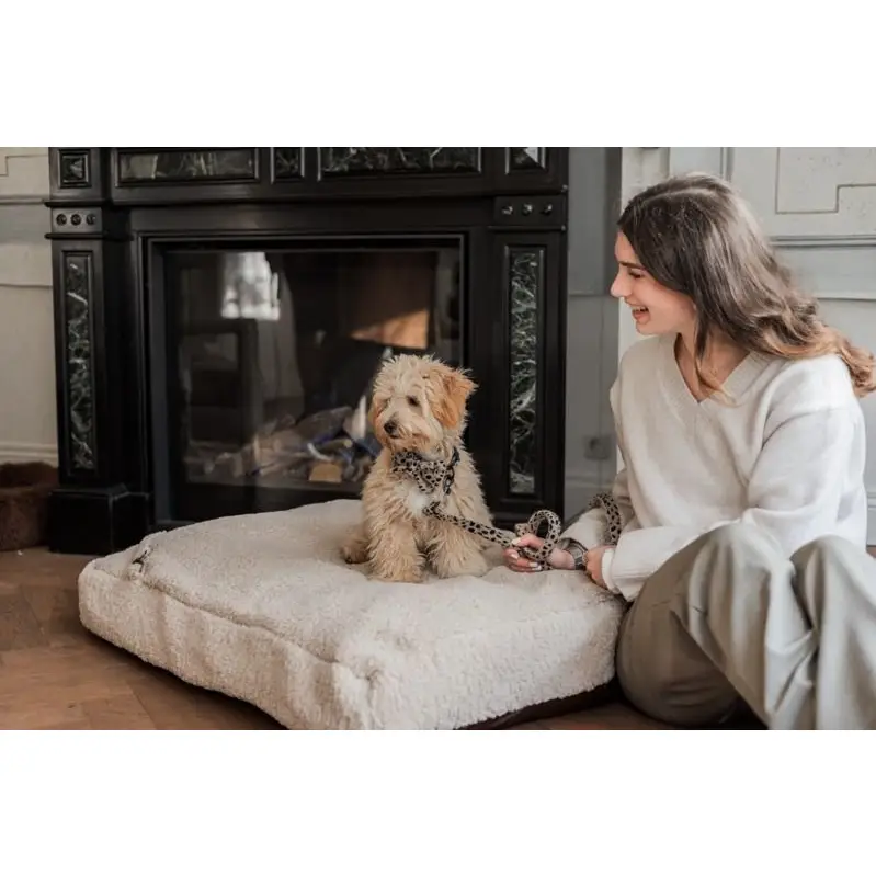 Strik Cheetah - Studio Proud - Afbeelding 5