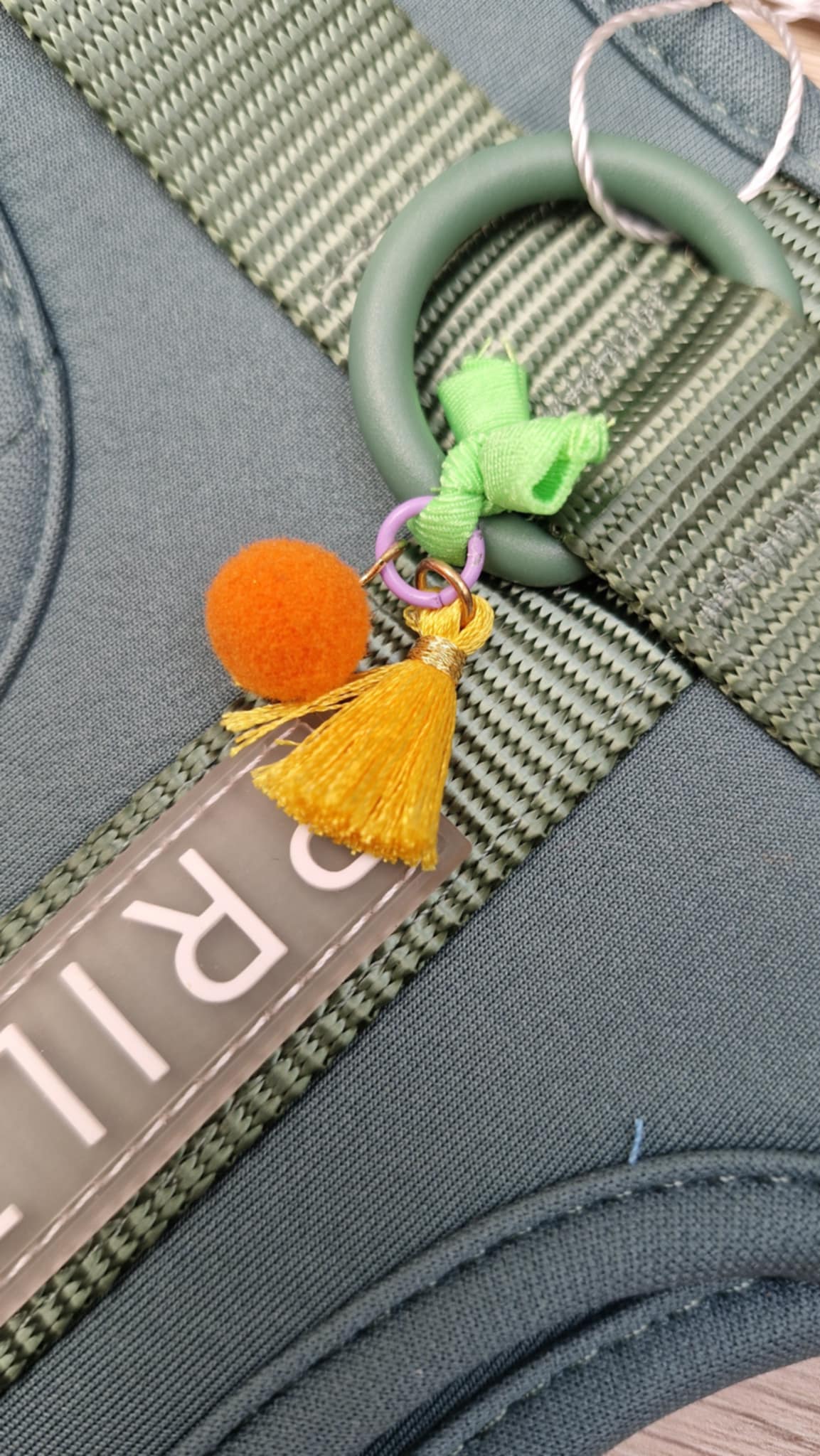 Harnas in neoprene Groen - Afbeelding 2