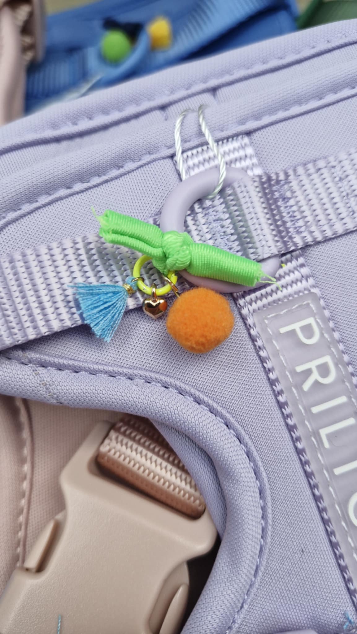 Harnas in neoprene Paars - Afbeelding 2