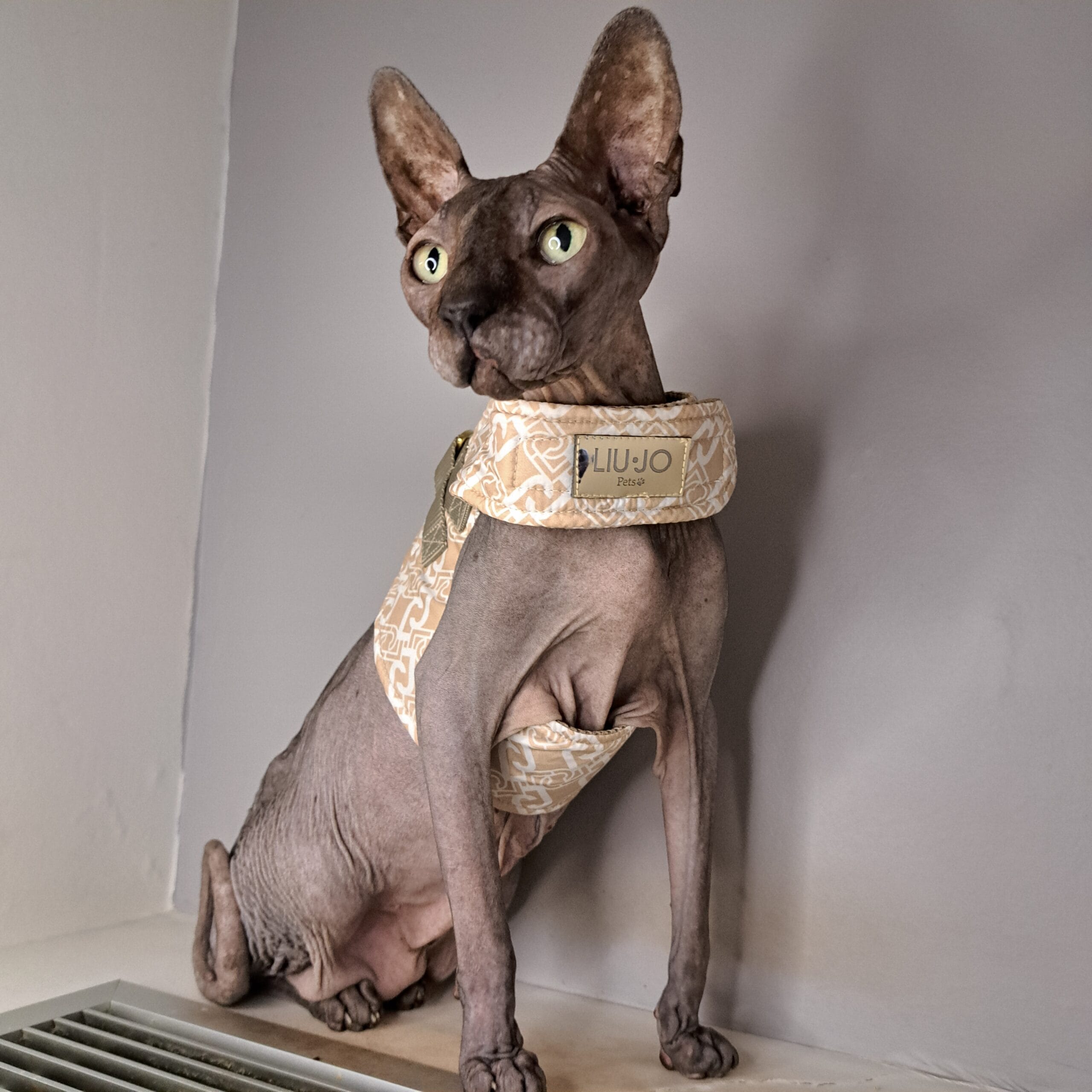 Liu-Jo Lichtgewicht Harnas voor Katten