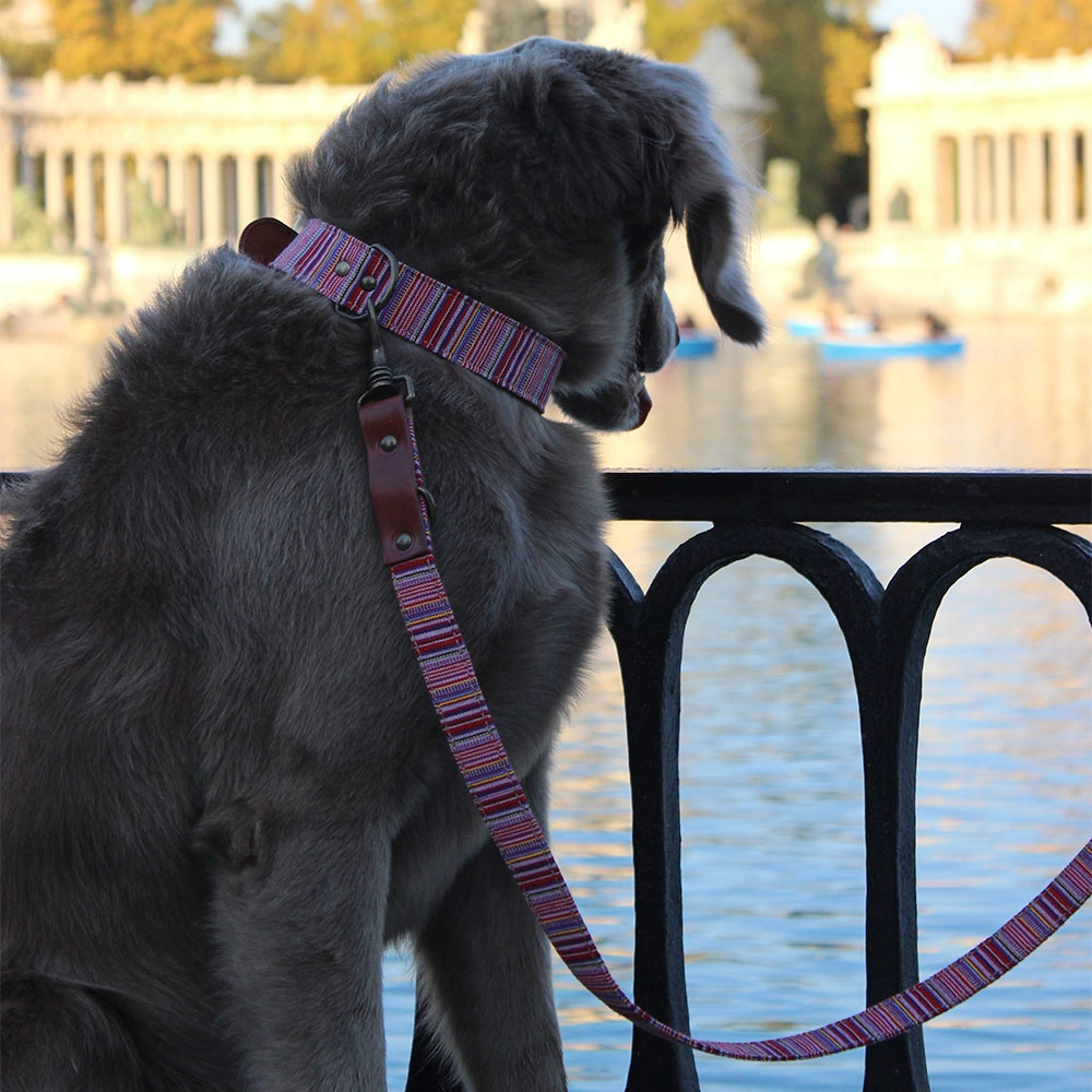 Toby Leiband - Afbeelding 3