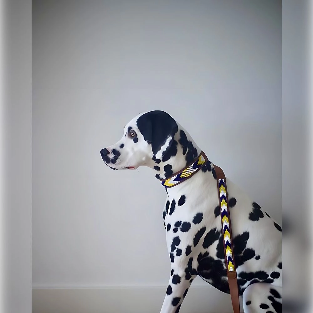 Safari Lederen Halsband - Afbeelding 2