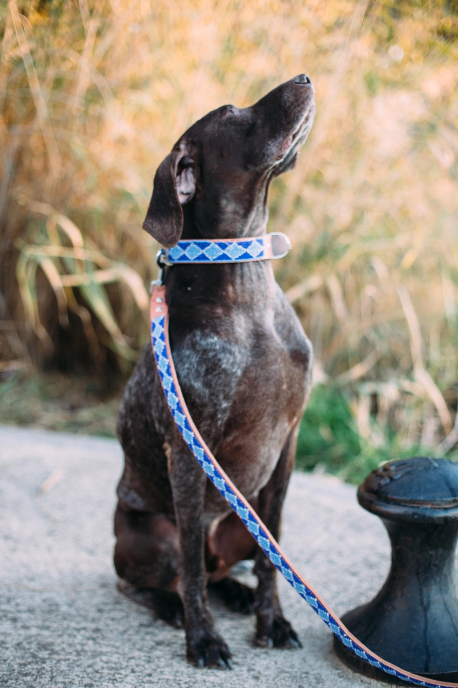 Madagaskar Lederen Halsband - Afbeelding 3