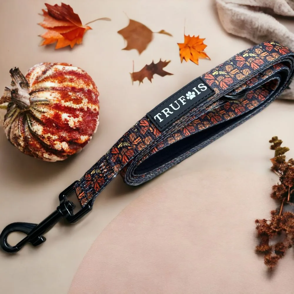 Leiband Fall and Fly