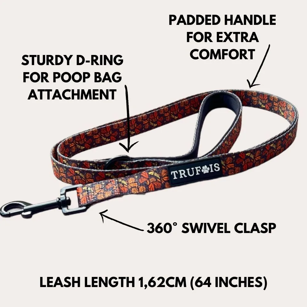 Leiband Fall and Fly - Afbeelding 2