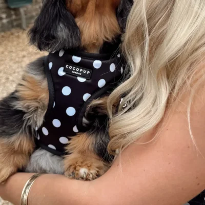 Satijnen Polka Dot Harnas van CocoPUp London - Afbeelding 2