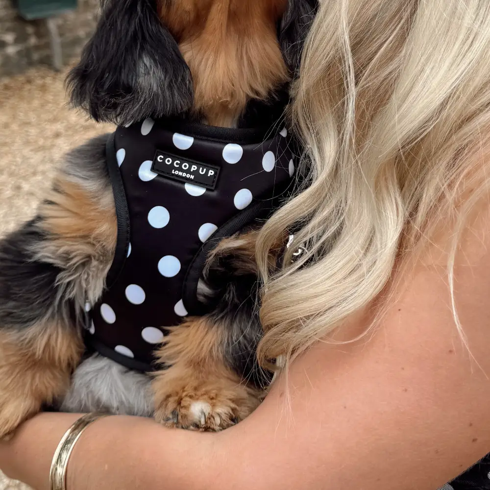 Satijnen Polka Dot Harnas van CocoPUp London - Afbeelding 2